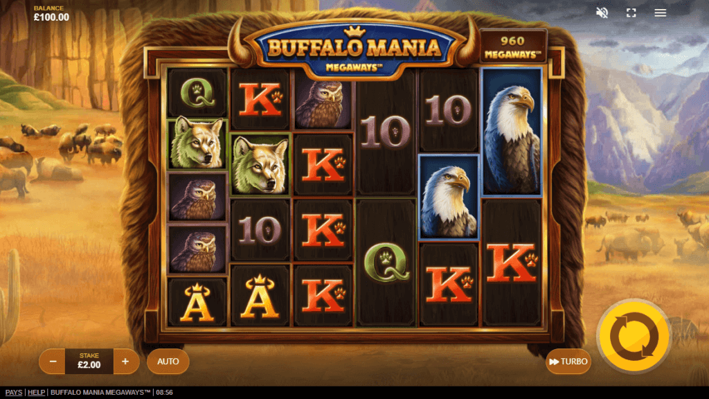 buffalo-mania