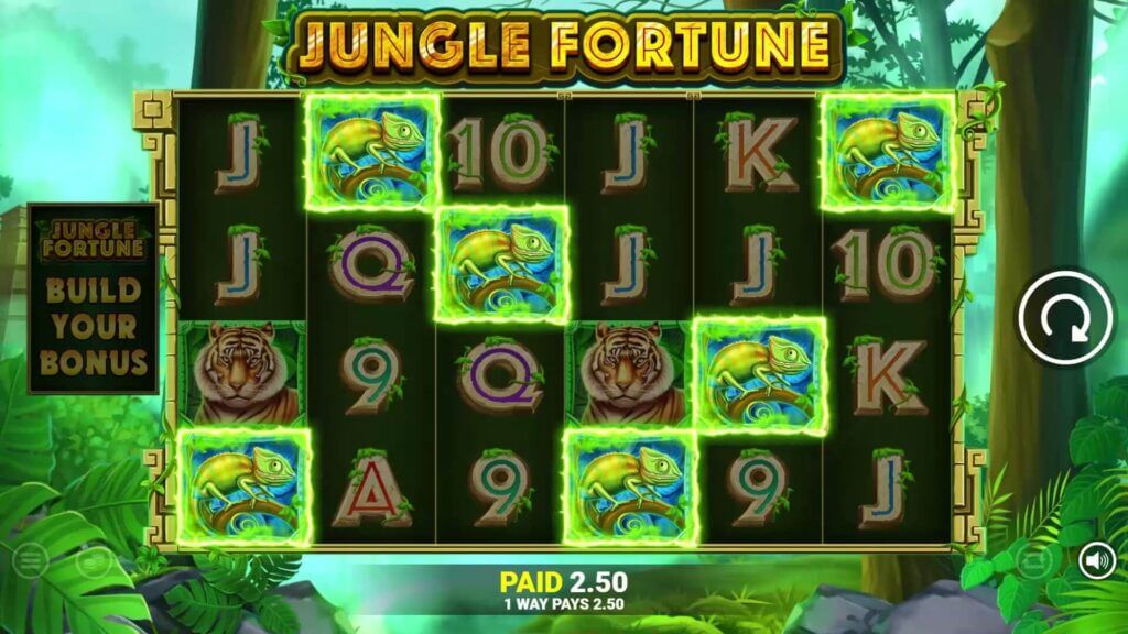 jungle-fortune-simboluri