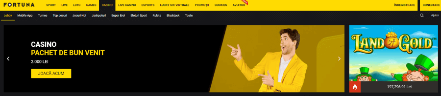 fortuna casino online