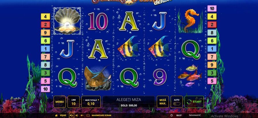 Dolphin’s Pearl slot online Novomatic